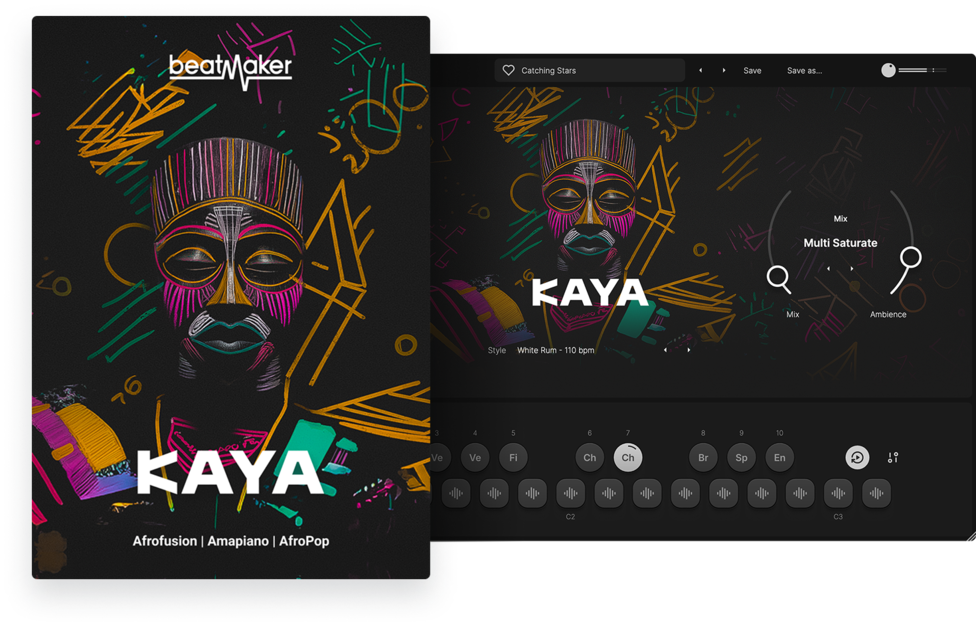 bm kaya introduction