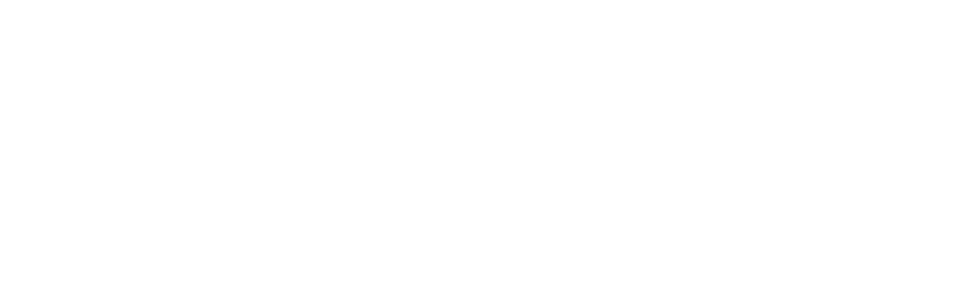 vp logo